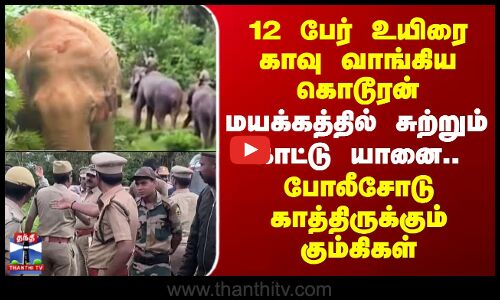 Nilgiri | Elephant | 12 பேர் உயிரை காவு வாங்கிய கொடூரன் - மயக்கத்தில் சுற்றும் காட்டு யானை..