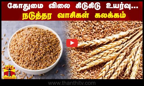 கோதுமை விலை கிடுகிடு உயர்வு...  நடுத்தர வாசிகள் கலக்கம் |  Wheat