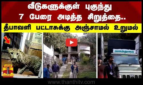 வீடுகளுக்குள் புகுந்து 7 பேரை அடித்த சிறுத்தை.. - தீபாவளி பட்டாசுக்கு அஞ்சாமல் உறுமல்