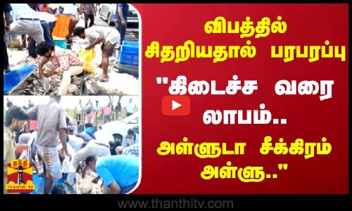 விபத்தில் சிதறியதால் பரபரப்பு.. கிடைச்ச வரை லாபம்.. அள்ளுடா சீக்கிரம் அள்ளு.. | Thanthitv