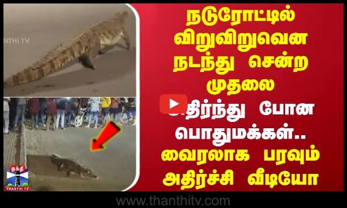 நடுரோட்டில் விறுவிறுவென நடந்து சென்ற முதலை - அதிர்ந்து போன பொதுமக்கள்.. வைரலாக பரவும் அதிர்ச்சி வீடியோ