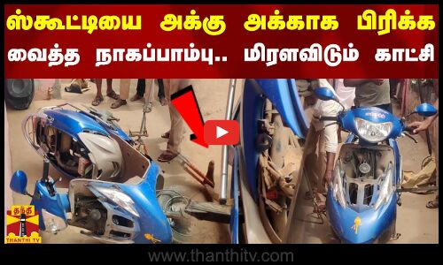 ஸ்கூட்டியை அக்கு அக்காக பிரிக்க வைத்த நாகப்பாம்பு.. மிரளவிடும் காட்சி