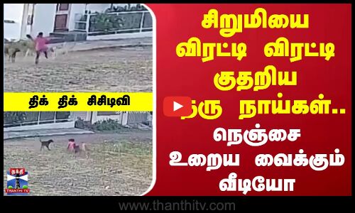 சிறுமியை விரட்டி விரட்டி குதறிய தெரு நாய்கள்.. நெஞ்சை உறைய வைக்கும் வீடியோ