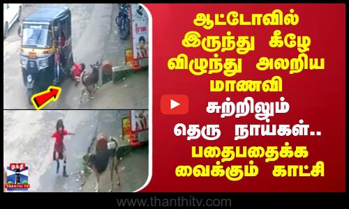 Kerala|ஆட்டோவில் இருந்து விழுந்து அலறிய மாணவி.. சுற்றிலும் தெரு நாய்கள்-பதைபதைக்க வைக்கும் காட்சி