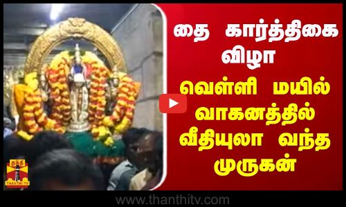 தை கார்த்திகை விழா - வெள்ளி மயில் வாகனத்தில் வீதியுலா வந்த முருகன் | Thiruttani