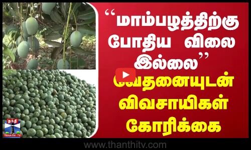 ``மாம்பழத்திற்கு போதிய விலை இல்லை | வேதனையுடன் விவசாயிகள் கோரிக்கை