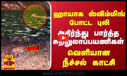 ஹாயாக ஸ்விம்மிங் போட்ட புலி.. அதிர்ந்து பார்த்த சுற்றுலாப்பயணிகள்.. வெளியான