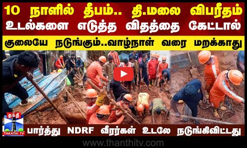 10 நாளில் தீபம்.. தி.மலையில் விபரீதம்.. உடல்களை எடுத்த விதத்தை கேட்டால் குலையே நடுங்கும்..வாழ்நாள் வரை மறக்காது