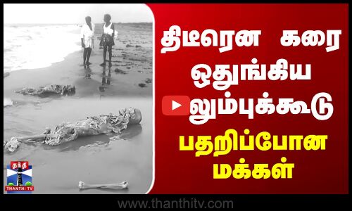 Vedaranyam | திடீரென கரை ஒதுங்கிய எலும்புக்கூடு - பதறிப்போன மக்கள்