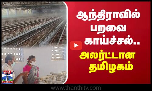 ஆந்திராவில் பறவை காய்ச்சல்... அலர்ட்டான தமிழகம் | andhra | Tamilnadu | bird flu
