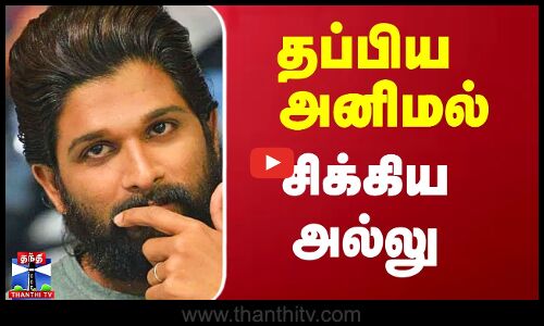 தப்பிய அனிமல்.. சிக்கிய அல்லு | Allu Arjun | Animal