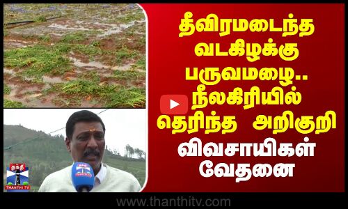 TN Rain | தீவிரமடைந்த வடகிழக்கு பருவமழை.. நீலகிரியில் தெரிந்த அறிகுறி - விவசாயிகள் வேதனை