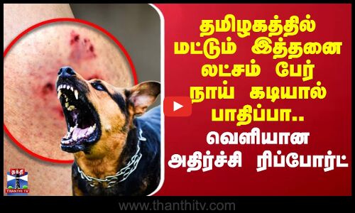 Dog Bite | Rabies Virus | இத்தனை லட்சம் பேர் நாய் கடியால் பாதிப்பா.. வெளியான அதிர்ச்சி ரிப்போர்ட்