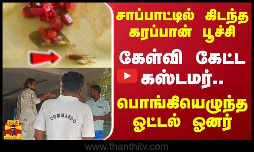 சாப்பாட்டில் கிடந்த கரப்பான் பூச்சி.. கேள்வி கேட்ட கஸ்டமர் - பொங்கியெழுந்த ஓட்டல் ஓனர்