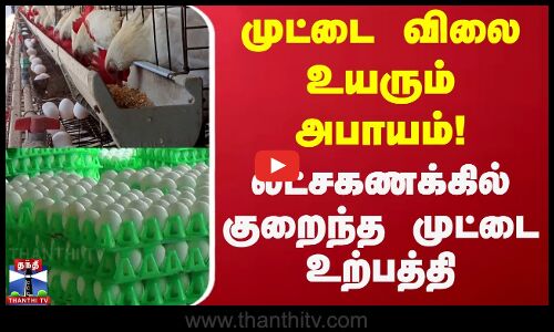 முட்டை விலை உயரும் அபாயம்!..லட்சகணக்கில் குறைந்த  முட்டை உற்பத்தி
