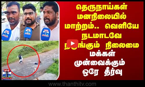 Street Dogs | தெருநாய்களால் வெளியே நடமாடவே நடுங்கும் நிலைமை - மக்கள் முன்வைக்கும் ஒரே தீர்வு