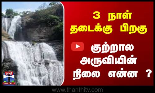 Coutrallam Update || 3 நாள் தடைக்கு பிறகு குற்றால அருவியின் நிலை என்ன ?