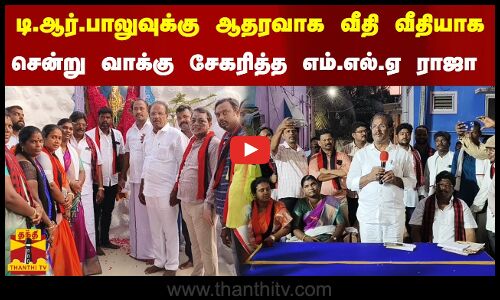 டி.ஆர்.பாலுவுக்கு ஆதரவாக வீதி வீதியாக.. சென்று வாக்கு சேகரித்த எம்.எல்.ஏ ராஜா