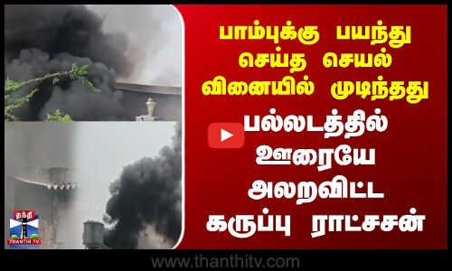 snake|பாம்புக்கு பயந்து செய்த செயல் வினையில் முடிந்தது பல்லடத்தில் ஊரையே அலறவிட்ட கருப்பு ராட்சசன்