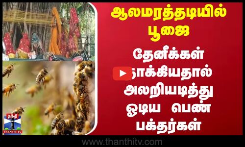 ஆலமரத்தடியில் பூஜை.. தேனீக்கள் தாக்கியதால் அலறியடித்து ஓடிய பெண் பக்தர்கள்