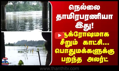 Nellai | நெல்லை தாமிரபரணியா இது! ஆக்ரோஷமாக சீறும் காட்சி... பொதுமக்களுக்கு பறந்த அலர்ட்