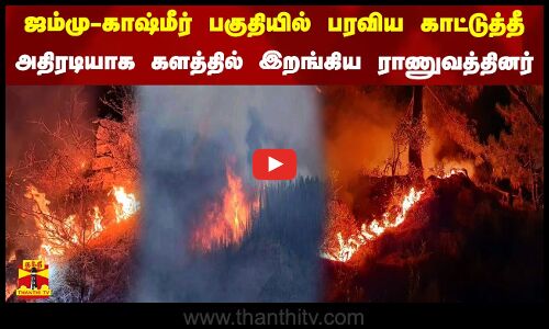 ஜம்மு-காஷ்மீர் பகுதியில் பரவிய காட்டுத்தீ - அதிரடியாக களத்தில் இறங்கிய ராணுவத்தினர்