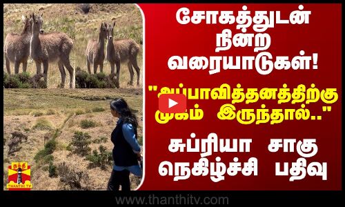 சோகத்துடன் நின்ற வரையாடுகள்! -அப்பாவித் தனத்திற்கு முகம் இருந்தால்..சுப்ரியா சாகு நெகிழ்ச்சி பதிவு