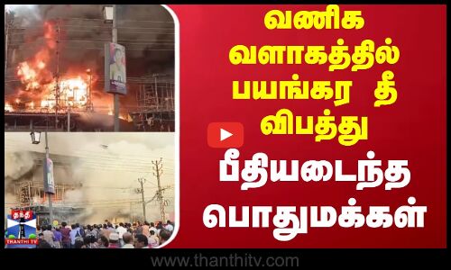 CoconutTree Get Fired | மின்னல் தாக்கியதால் தீப்பற்றி எரிந்த | தென்னை மரம்