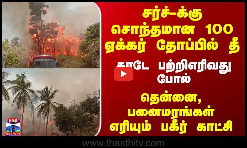 சர்ச்-க்கு சொந்தமான 100 ஏக்கர் தோப்பில் தீ... தென்னை, பனைமரங்கள் எரியும் காட்சி