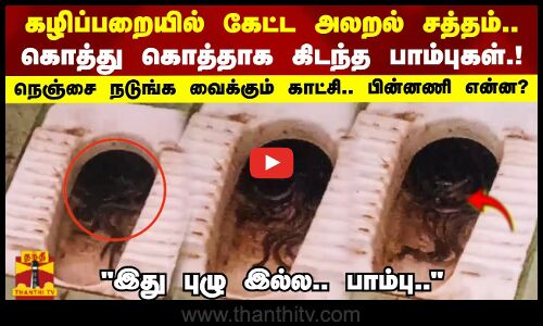 கல்லூரி கழிப்பறையில் கேட்ட அலறல் சத்தம்..உள்ளே கொத்து கொத்தாக கிடந்த பாம்புகள்.!