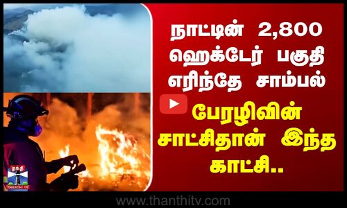 Spain | நாட்டின் 2,800 ஹெக்டேர் பகுதி எரிந்தே சாம்பல் - பேரழிவின் சாட்சிதான் இந்த காட்சி..