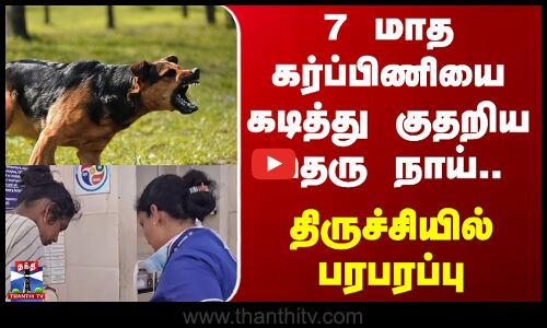 Trichy | 7 மாத கர்ப்பிணியை கடித்து குதறிய தெரு நாய்.. தீவிர காயங்களோடு மருத்துவமனையில் சிகிச்சை