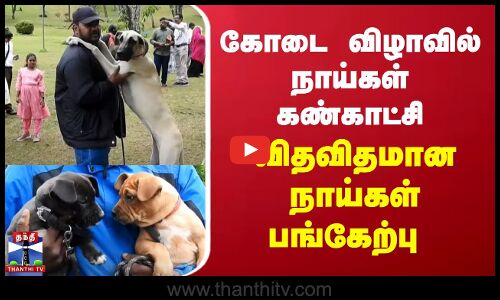 கோடை விழாவில் நாய்கள் கண்காட்சி.. விதவிதமான நாய்கள் பங்கேற்பு