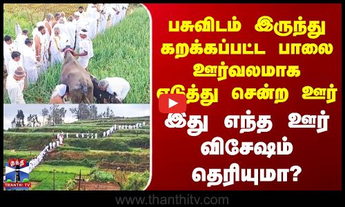 பசுவிடம் இருந்து கறக்கப்பட்ட பாலை ஊர்வலமாக எடுத்து சென்ற ஊர் - இது எந்த ஊர் விசேஷம்?
