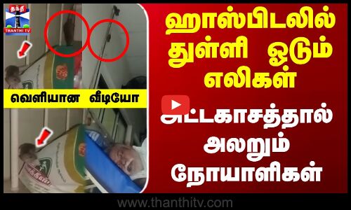 ஹாஸ்பிடலில் துள்ளி ஓடும் எலிகள்... அட்டகாசத்தால் அலறும் நோயாளிகள்