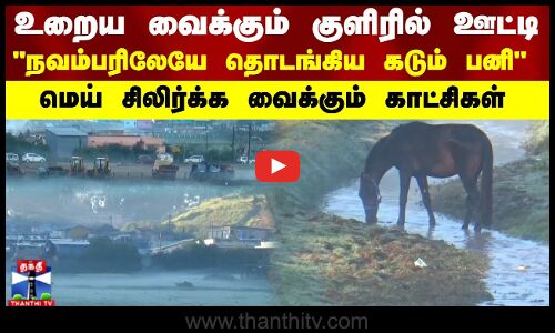 உறைய வைக்கும் குளிரில்  ஊட்டி... கண்களை கவரும் காட்சிகள்.. நவம்பரிலேயே தொடங்கிய கடும் பனி 