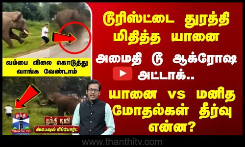டூரிஸ்ட்டை துரத்தி மிதித்த யானை | அமைதி டூ ஆக்ரோஷ அட்டாக்.. | தீர்வு என்ன?