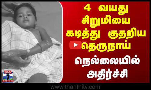Nellai | Dog | Children | 4 வயது சிறுமியை கடித்து குதறிய தெருநாய் - நெல்லையில் அதிர்ச்சி
