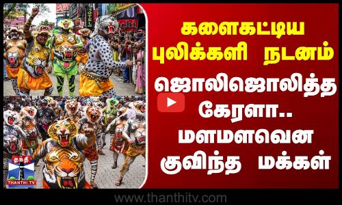 களைகட்டிய புலிக்களி நடனம் - ஜொலிஜொலித்த கேரளா.. மளமளவென குவிந்த மக்கள்