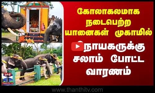 கோலகலமாக நடைபெற யானைகள் முகாமில் விநாயகருக்கு சலாம் போட்ட வாரணம்