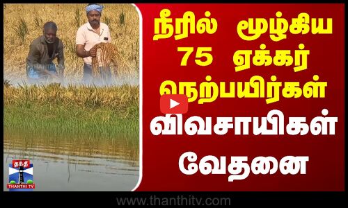 நீரில் மூழ்கிய 75 ஏக்கர் நெற்பயிர்கள் - விவசாயிகள் வேதனை