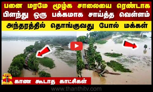 பனை மரமே மூழ்க சாலையை ரெண்டாக பிளந்து ஒரு பக்கமாக சாய்த்த வெள்ளம் - பேரதிர்ச்சி காட்சிகள்