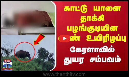 காட்டு யானை தாக்கி பழங்குடியின பெண் உயிரிழப்பு - கேரளாவில் துயர சம்பவம்