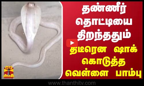 தண்ணீர் தொட்டியை திறந்ததும் திடீரென ஷாக் கொடுத்த வெள்ளை பாம்பு