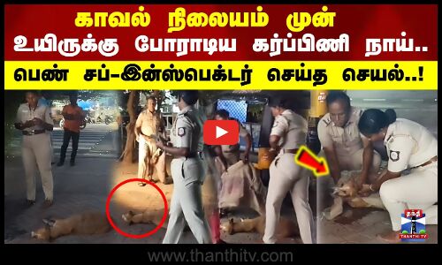 காவல் நிலையம் முன் உயிருக்கு போராடிய கர்ப்பிணி நாய் பெண் சப்-இன்ஸ்பெக்டர் செய்த செயல்!