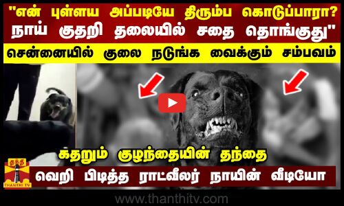 என் புள்ளய அப்படியே திரும்ப கொடுப்பாரா? நாய் குதறி தலையில் சதை தொங்குது - கதறும் குழந்தையின் தந்தை