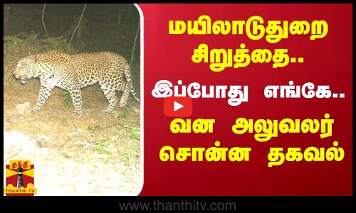 மயிலாடுதுறை சிறுத்தை..இப்போது எங்கே..வன அலுவலர் சொன்ன தகவல்