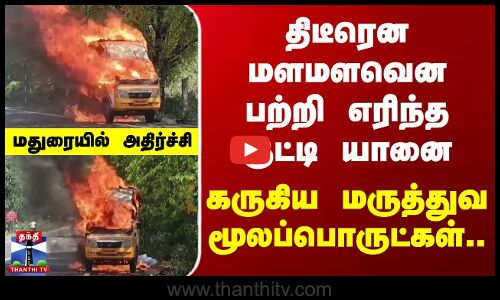திடீரென மளமளவென பற்றி எரிந்த குட்டி யானை - கருகிய மருத்துவ மூலப்பொருட்கள்..