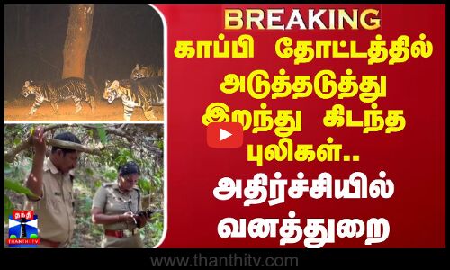 #BREAKING |  காப்பி தோட்டத்தில் அடுத்தடுத்து இறந்து கிடந்த புலிகள்.. - அதிர்ச்சியில் வனத்துறை