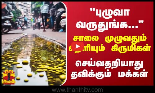 புழுவா வருதுங்க... சாலை முழுவதும் நெளியும் கிருமிகள் .. செய்வதறியாது தவிக்கும் மக்கள்